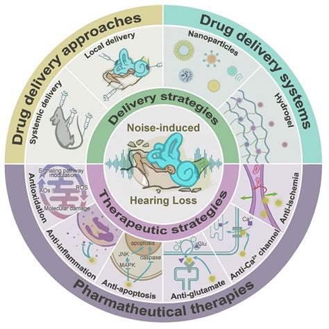 hearing loss treatment henderson|Pharmacological Approaches to Hearing Loss .